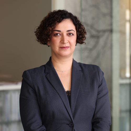 სალომე მეუნარგია New Compressed